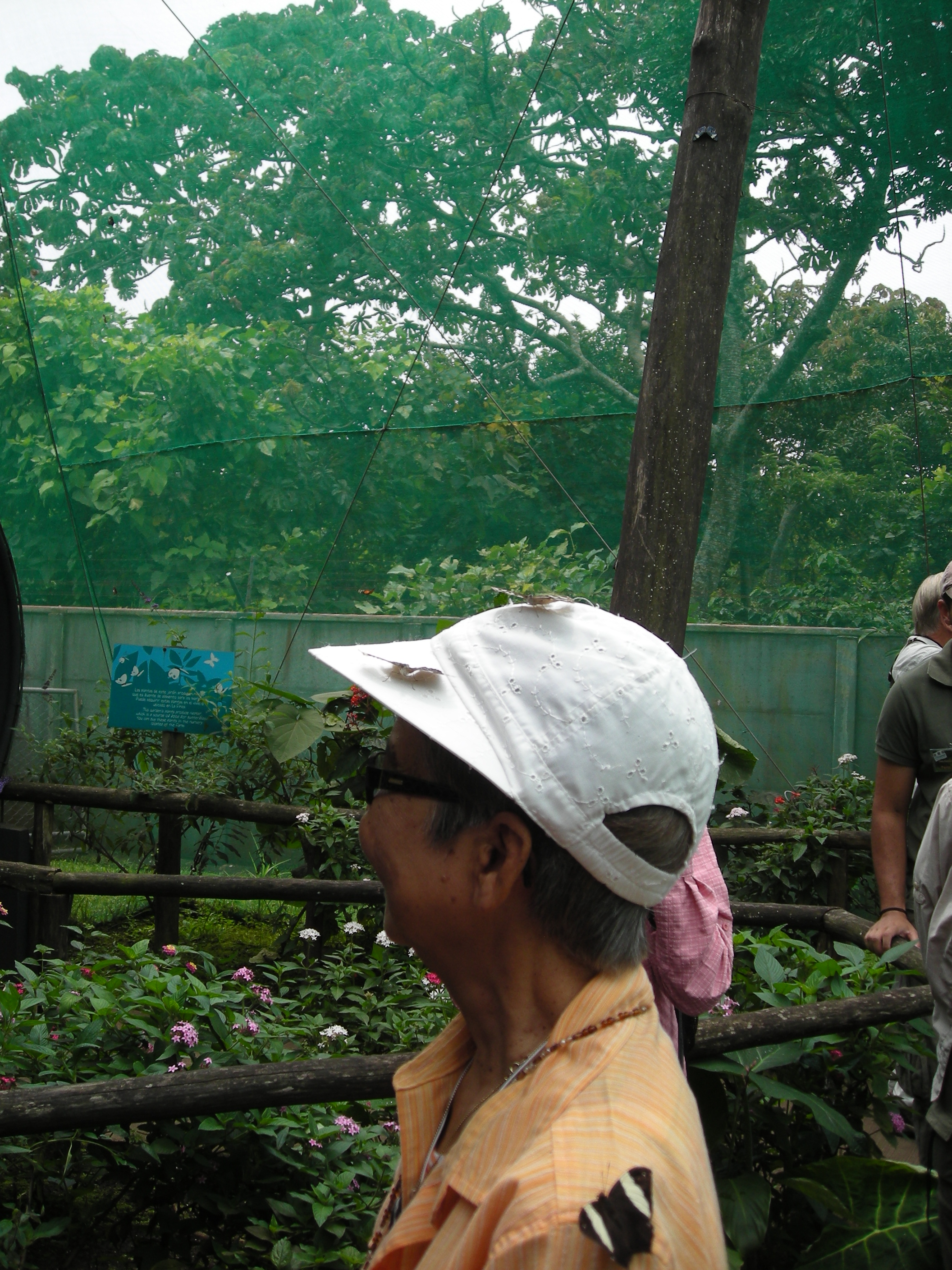 Lily and friends at Doka Coffee Plantation