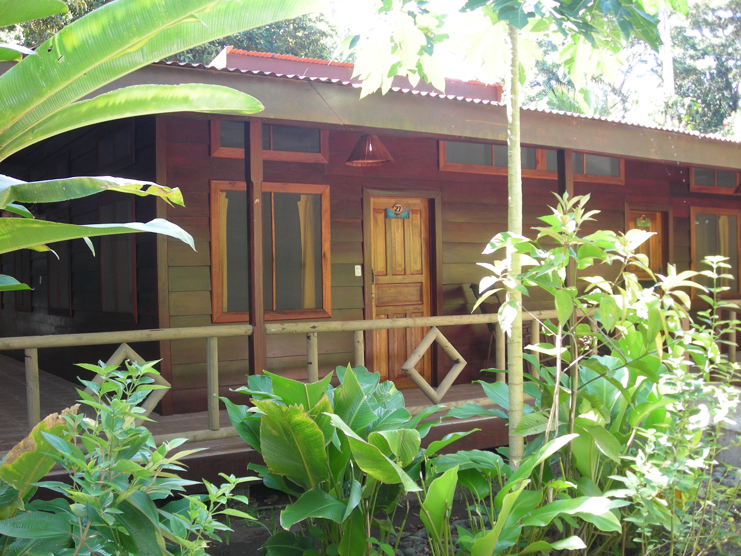 My room at Pachira Lodge