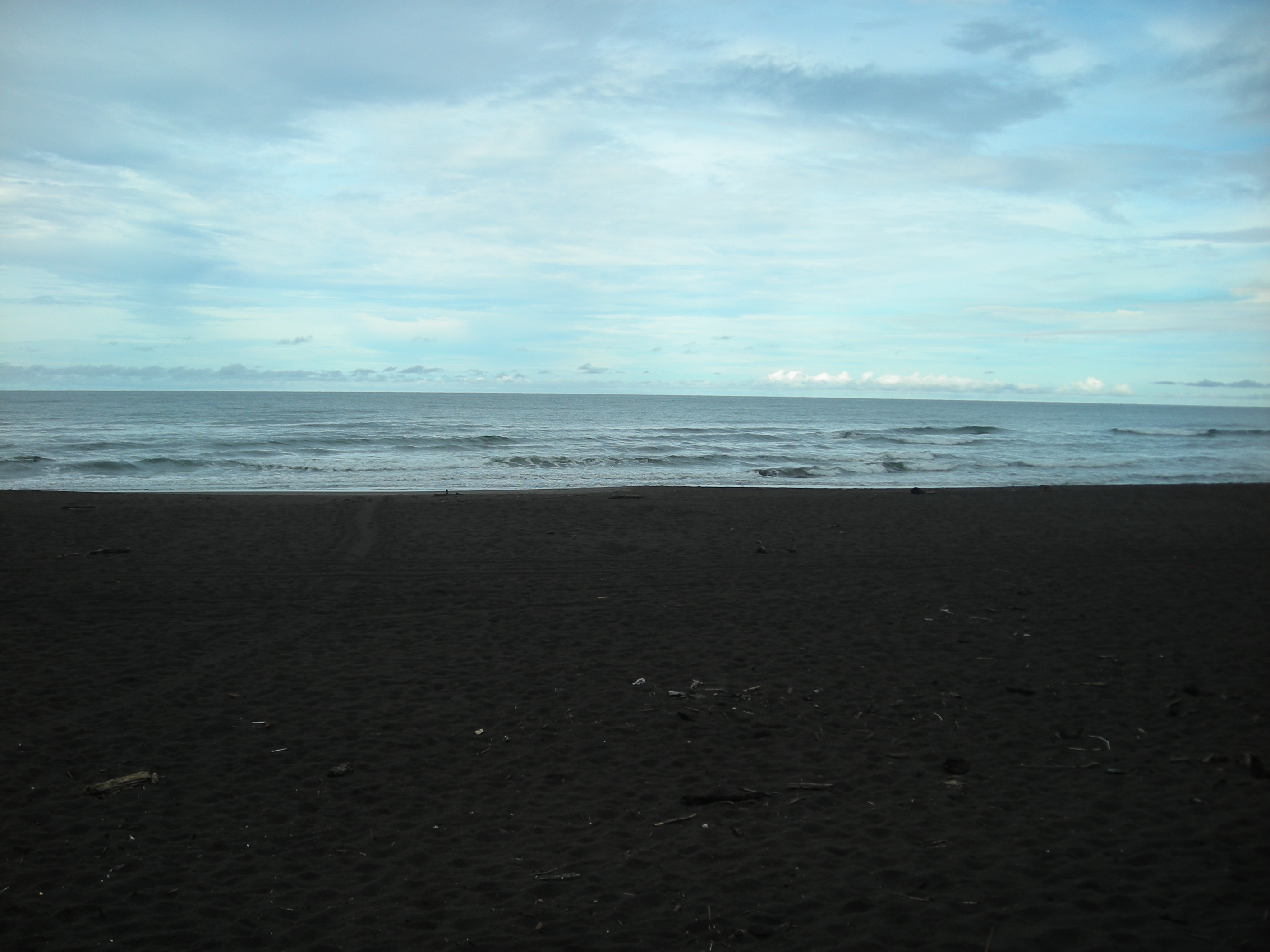 The beach at Totuguero