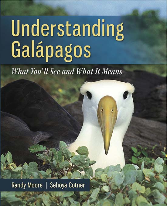 Understanding Galapagos Cover