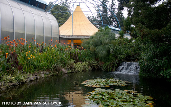 Quito Botanical Gardens, Ecuador
