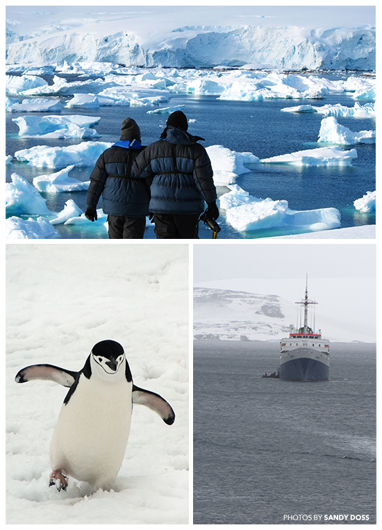 3-pictures-antarctica
