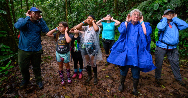 Rainforest hike activity