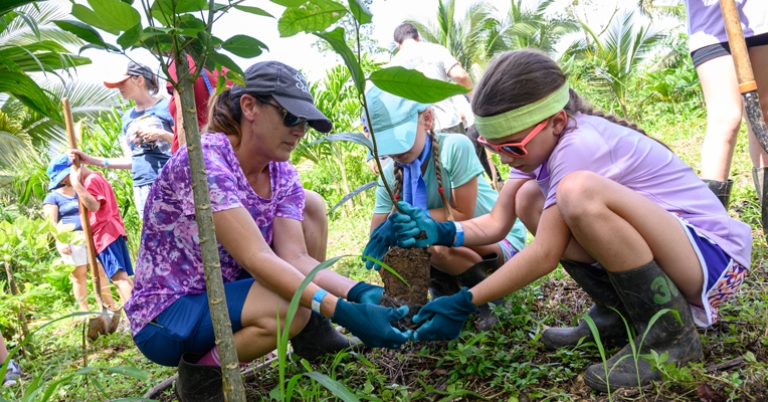 Reforestation project