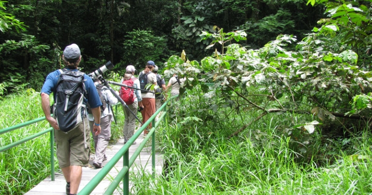 Birders at La Selva Biological Station