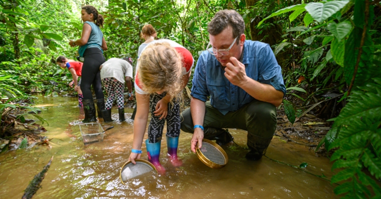 Dip netting activity